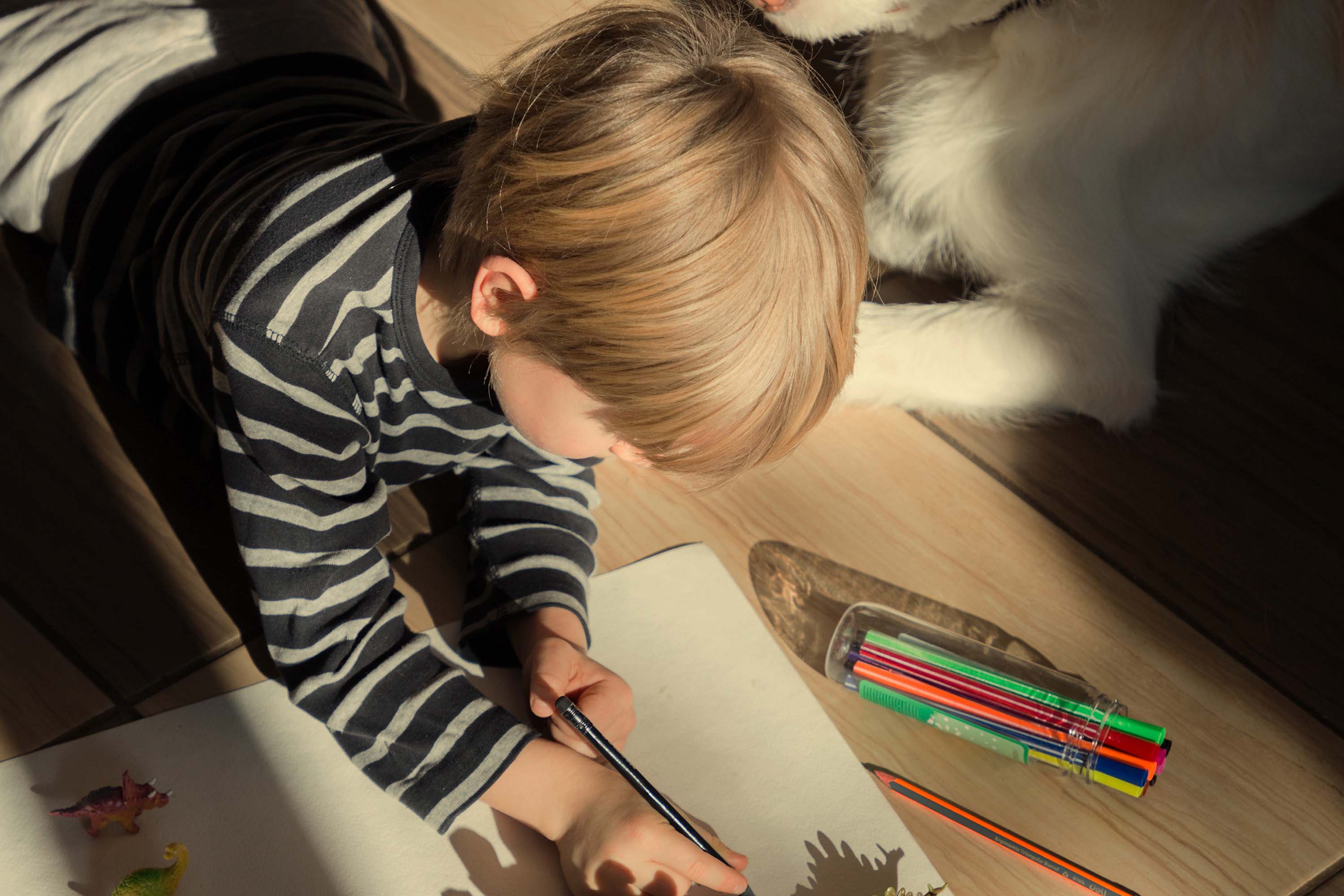 A boy is coloring the dinosaur picture