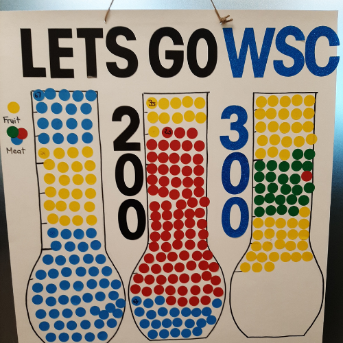 WSC fundraising